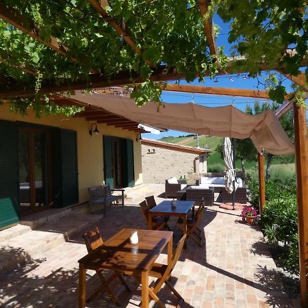 Il Frutteto Bed And Breakfast Ripattone ภายนอก รูปภาพ