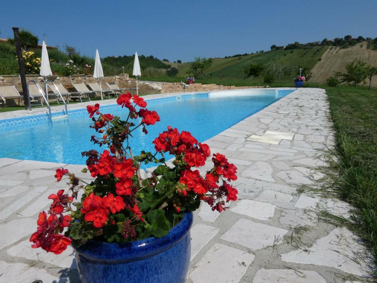 Il Frutteto Bed And Breakfast Ripattone ภายนอก รูปภาพ
